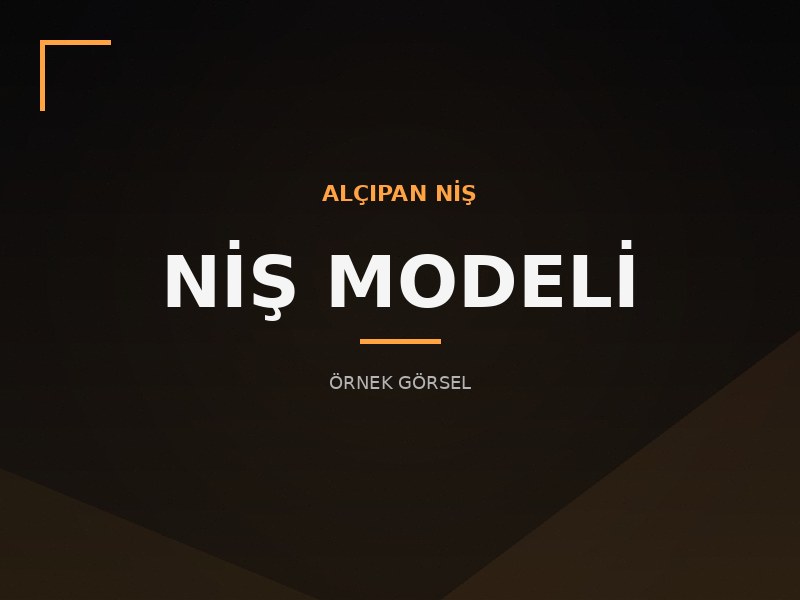 Tavan Dekor Modeli 05